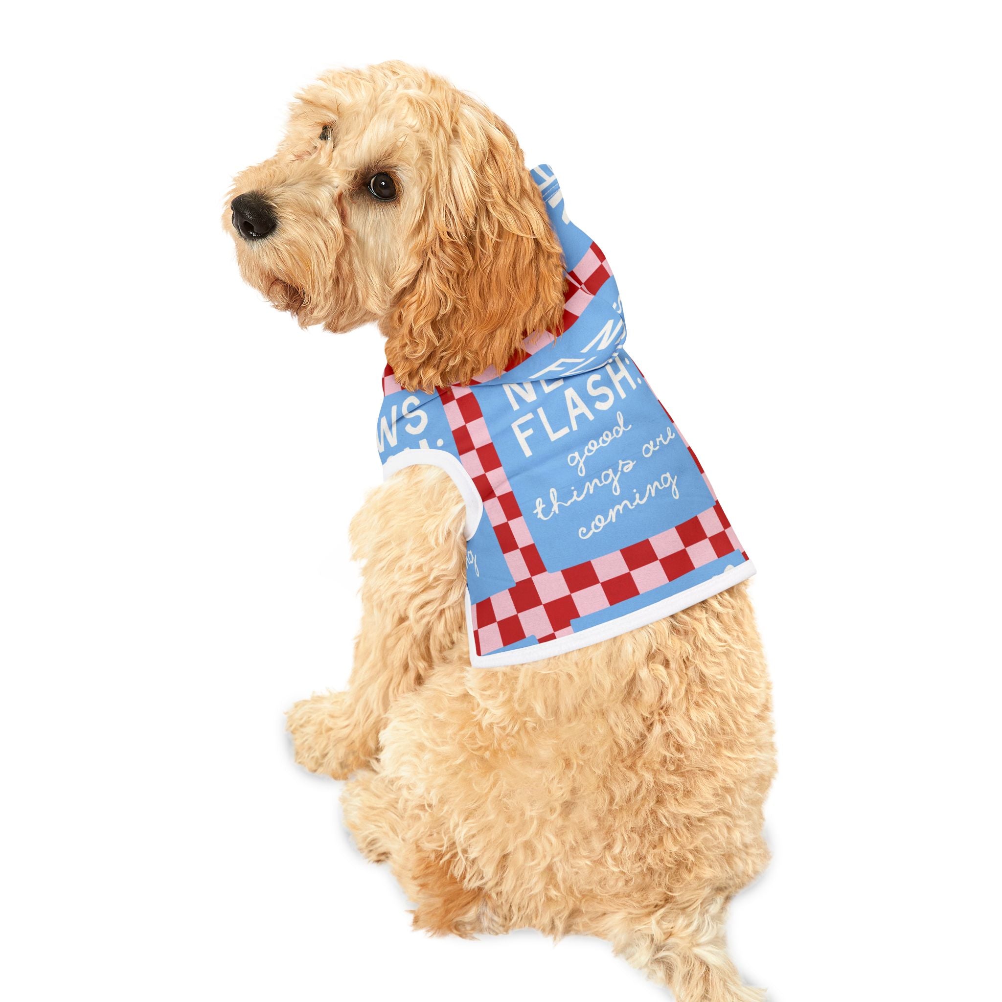 Good News Pet Hoodie (For Dogs and Cats)